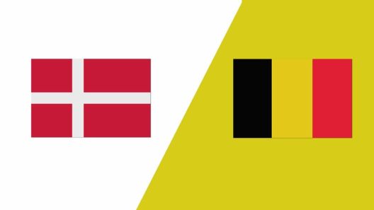 مشاهدة مباراة الدنمارك وبلجيكا بث مباشر اليوم 13-1-2023 كأس العالم لكرة اليد