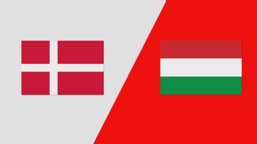 مشاهدة مباراة الدنمارك والمجر بث مباشر اليوم 2-8-2024 اولمبياد باريس كرة اليد