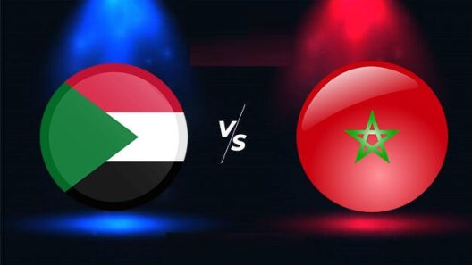 مشاهدة مباراة المغرب والسودان بث مباشر اليوم 15-1-2023 مواجهة اسود الاطلس وصقور الجديان في الشان