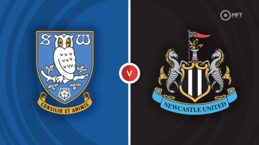 مشاهدة مباراة نيوكاسل وشيفيلد وينزداي بث مباشر اليوم 7-1-2023 على هيلسبره