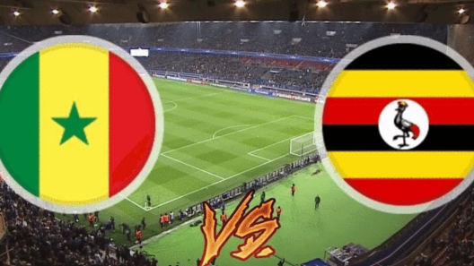 مشاهدة مباراة السنغال واوغندا بث مباشر اليوم 18-1-2023 ضمن كأس أمم أفريقيا لللاعبين المحليين