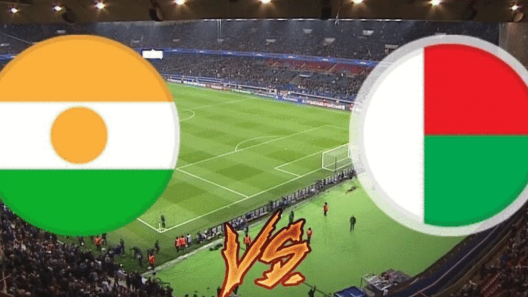 مشاهدة مباراة النيجر ومدغشقر بث مباشر اليوم 3-2-2023 ضمن تحديد المركز الثالث في كأس أمم أفريقيا لللاعبين المحليين