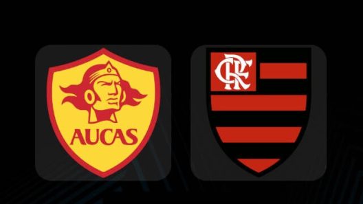 مشاهدة مباراة فلامينغو واوكاس بث مباشر اليوم 5-4-2023 على ملعب جونزالو بوزو ريبالدا