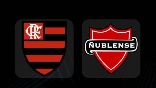 مشاهدة مباراة فلامينغو ونابلينسي بث مباشر اليوم 25-5-2023 كأس الليبرتادوريس