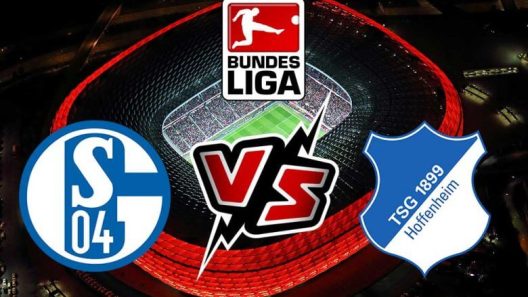 مشاهدة مباراة هوفنهايم وشالكه بث مباشر اليوم 9-4-2023 على راين نيكار أرينا