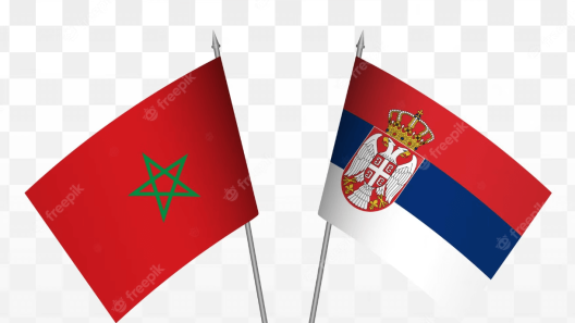 مشاهدة مباراة المغرب وصربيا بث مباشر اليوم 21-6-2023 كأس العالم لكرة اليد للشباب