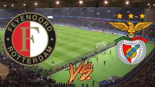 مشاهدة مباراة بنفيكا وفينورد روتردام بث مباشر اليوم 28-7-2024 مباراة ودية