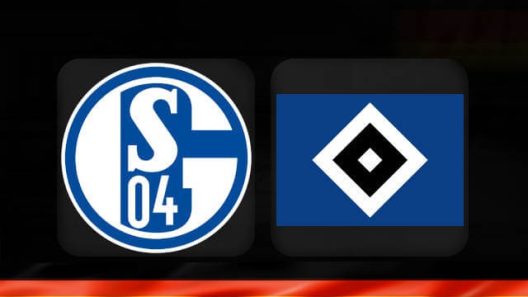 مشاهدة مباراة هامبورج وشالكه بث مباشر اليوم 23-11-2024 قمة فولكسبارك