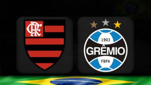 مشاهدة مباراة فلامينغو وغريميو بث مباشر اليوم 16-8-2023 إياب نصف نهائي كأس البرازيل