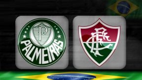 مشاهدة مباراة بالميراس وفلومينينسي بث مباشر اليوم 23-11-2025 قمة أليانز باركي