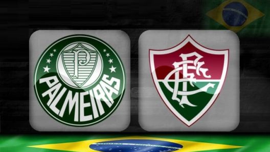 مشاهدة مباراة بالميراس وفلومينينسي بث مباشر اليوم 3-12-2023 قمة أليانز باركي