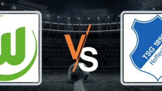 مشاهدة مباراة هوفنهايم وفولفسبورج بث مباشر اليوم 2-9-2023 على راين نيكار أرينا