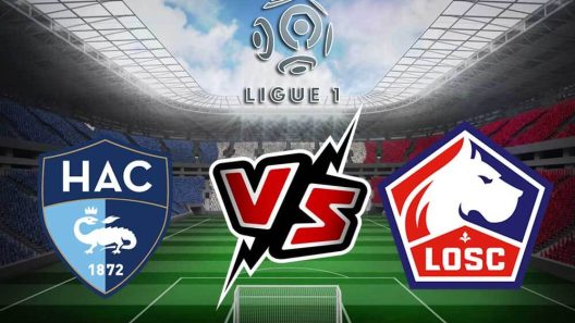 مشاهدة مباراة ليل ولوهافر بث مباشر اليوم 17-2-2024 على بيار موروا