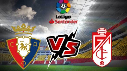 مشاهدة مباراة اوساسونا ولاس بالماس بث مباشر اليوم 11-11-2023 لقاء أل سادار