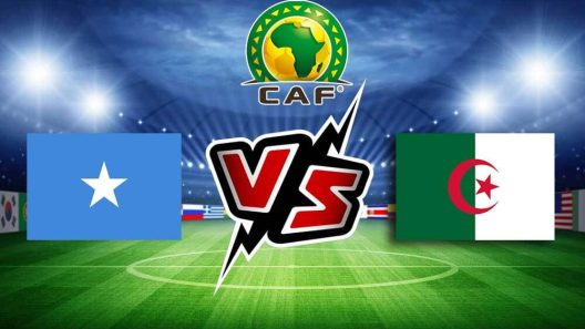 مشاهدة مباراة الجزائر والصومال بث مباشر اليوم 16-11-2023 الخضر في التصفيات الإفريقية المؤهلة لكأس العالم