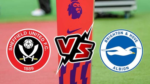 مشاهدة مباراة برايتون وشيفيلد يونايتد بث مباشر اليوم 12-11-2023 على فالمر