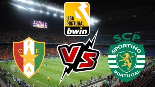 مشاهدة مباراة سبورتينغ لشبونة واستريلا امادورا بث مباشر اليوم 5-11-2023 الدوري البرتغالي