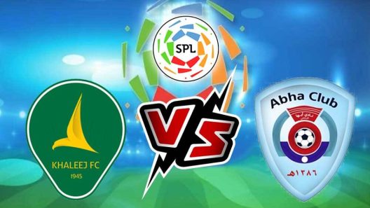 مشاهدة مباراة ابها والخليج بث مباشر اليوم 8-12-2023 فارس الجنوب ضد النسر على استاد الأمير محمد بن فهد