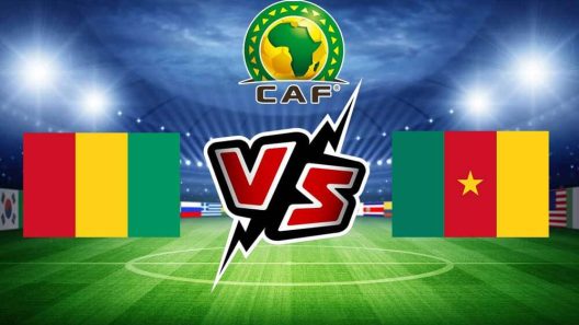 مشاهدة مباراة الكاميرون وغينيا بث مباشر اليوم 15-1-2024 مواجهة الاسود غير المروضة في كأس الأمم الأفريقية