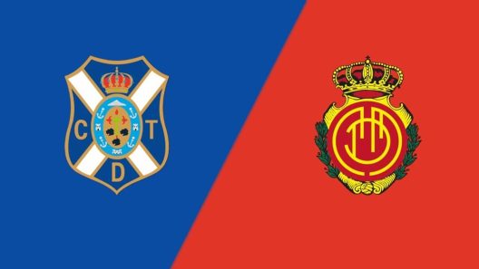 مشاهدة مباراة ريال مايوركا وتينيريفي بث مباشر اليوم 16-1-2024 على ملعب هيليودورو رودريجيز لوبيز