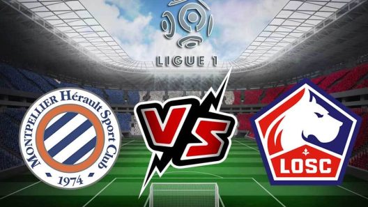 مشاهدة مباراة مونبلييه وليل بث مباشر اليوم 28-1-2024 قمة ستاد دو لا موسون