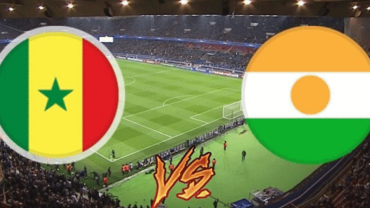 مشاهدة مباراة السنغال والنيجر بث مباشر اليوم 8-1-2024 اسود التيرانجا في مواجهة ودية