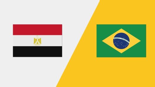 مشاهدة مباراة مصر والبرازيل بث مباشر اليوم 2-8-2024 الفراعنة في اولمبياد باريس كرة الطائرة