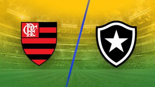 مشاهدة مباراة فلامينغو وبوتافوغو بث مباشر اليوم 18-5-2025 قمة ماراكانا