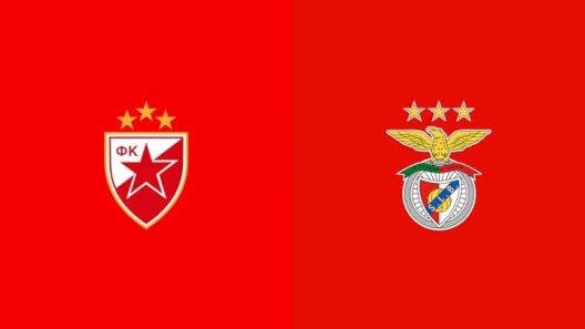 مشاهدة مباراة بنفيكا والنجم الاحمر بث مباشر اليوم 19-9-2024 مواجهة راجكو ميتيتش