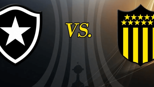 مشاهدة مباراة بوتافوغو وبينارول بث مباشر اليوم 31-10-2024 إياب نصف نهائي كأس الليبرتادوريس