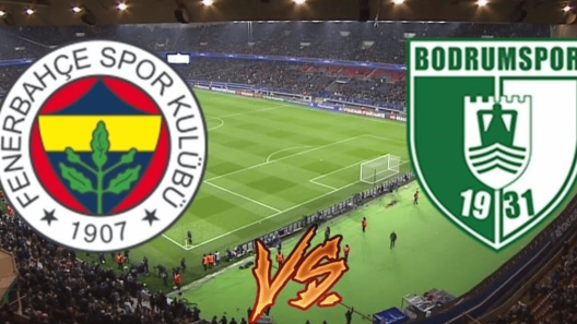 مشاهدة مباراة فنربخشة وبودريم سبور بث مباشر اليوم 28-3-2025 ضمن الدوري التركي