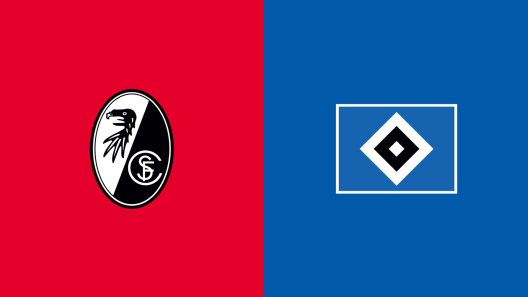 مشاهدة مباراة فرايبورج وهامبورج بث مباشر اليوم 30-10-2024 على بينتيلير أرينا