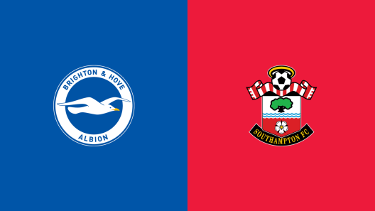 مشاهدة مباراة برايتون وساوثهامتون بث مباشر اليوم 29-11-2024 قمة فالمر