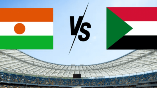 مشاهدة مباراة السودان والنيجر بث مباشر اليوم 14-11-2024 صقور الجديان في تصفيات أمم أفريقيا