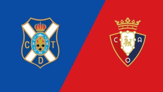 مشاهدة مباراة أوساسونا وتينيريفي بث مباشر اليوم السبت 4-1-2025 قمة ملعب هيليودورو رودريجيز لوبيز في الكأس