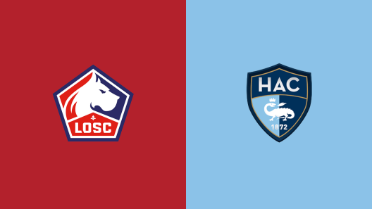 مشاهدة مباراة ليل ولوهافر بث مباشر اليوم 8-2-2025 قمة ملعب بيار موروا