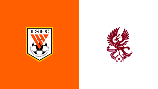 مشاهدة مباراة شاندونغ تايشان وغوانغجو إف سي بث مباشر اليوم 11-2-2025 في دوري أبطال آسيا للنخبة