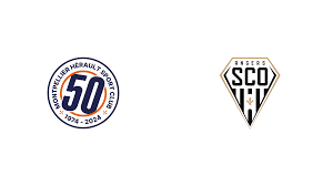 مشاهدة مباراة أنجيه ومونبلييه بث مباشر اليوم 13-4-2025 قمة ريموند كوبا