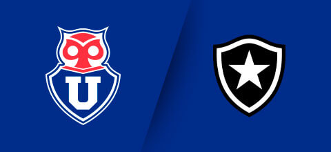 مشاهدة مباراة بوتافوغو ويونيفرسيداد دي تشيلي بث مباشر اليوم 28-5-2025 على الملعب الأولمبي نيلتون سانتوس