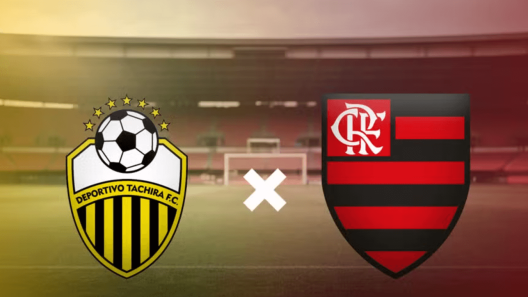 مشاهدة مباراة فلامينغو وديبورتيفو تاشيرا بث مباشر اليوم 29-5-2025 قمة ماراكانا