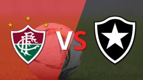 مشاهدة مباراة فلومينينسي وبوتافوجو بث مباشر اليوم 28-9-2025 قمة ماراكانا