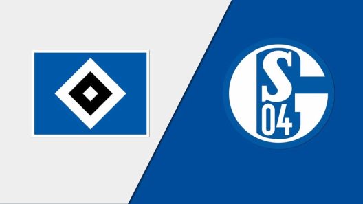 مشاهدة مباراة شالكه وهامبورج بث مباشر اليوم 19-4-2025 قمة فيلتينس أرينا