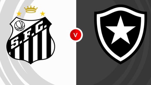 مشاهدة مباراة سانتوس وبوتافوغو بث مباشر اليوم 1-6-2025 الدوري البرازيلي