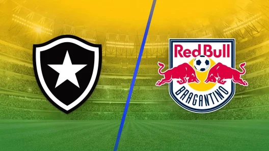 مشاهدة مباراة بوتافوغو وبراغانتينو بث مباشر اليوم 29-7-2025 ثمن نهائي كأس البرازيل