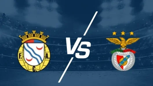 مشاهدة مباراة بنفيكا وألفيركا بث مباشر اليوم 31-8-2025 ضمن الدوري البرتغالي