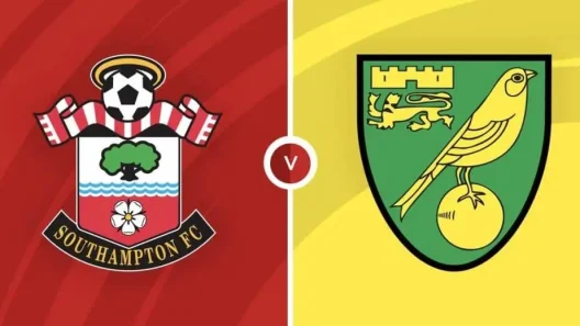 مشاهدة مباراة ساوثهامبتون ونوريتش سيتي بث مباشر اليوم 26-8-2025 قمة كارو رود