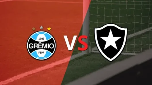 مشاهدة مباراة بوتافوجو وجريميو بث مباشر اليوم 24-9-2025 ضمن الدوري البرازيلي