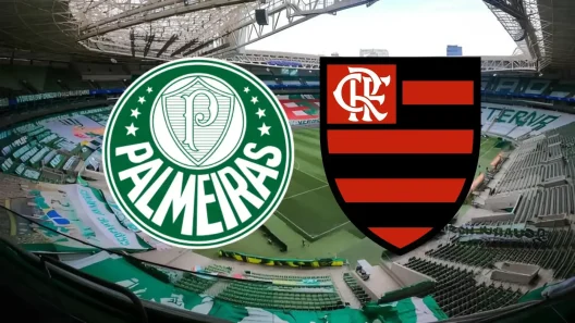 مشاهدة مباراة بالميراس وفلامنجو بث مباشر اليوم 19-10-2025 قمة الدوري البرازيلي