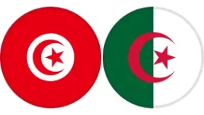 مشاهدة مباراة تونس والجزائر بث مباشر اليوم 29-1-2026 نصف نهائي أمم أفريقيا لكرة اليد