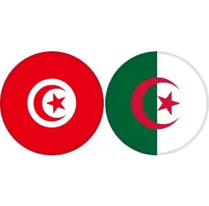 مشاهدة مباراة تونس والجزائر بث مباشر اليوم 29-1-2026 نصف نهائي أمم أفريقيا لكرة اليد